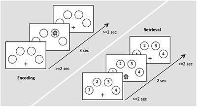 Neural Network Connectivity During Post-encoding Rest: Linking Episodic Memory Encoding and Retrieval